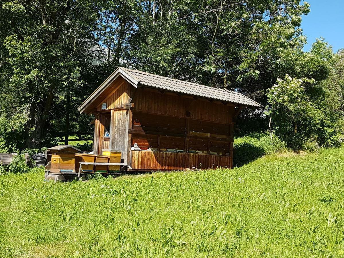 Apartments Nature Apis Landheim Anterselva di Mezzo Exteriér fotografie